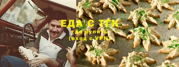 индика Лабытнанги